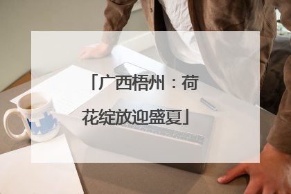 广西梧州：荷花绽放迎盛夏