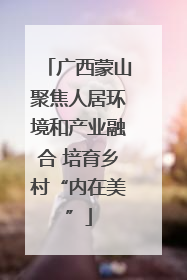 广西蒙山聚焦人居环境和产业融合 培育乡村“内在美”