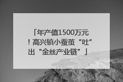 年产值1500万元！高兴镇小蚕茧“吐”出“金丝产业链”