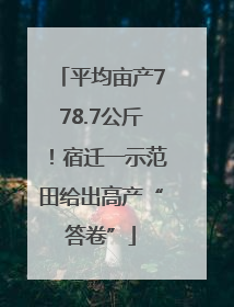 平均亩产778.7公斤！宿迁一示范田给出高产“答卷”