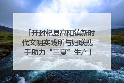开封杞县高阳镇新时代文明实践所与妇联携手助力“三夏”生产