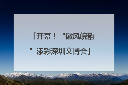 开幕！“徽风皖韵”添彩深圳文博会