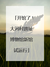 开馆了！大河村遗址博物馆新馆试运行