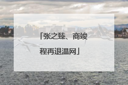 张之臻、商竣程再退温网