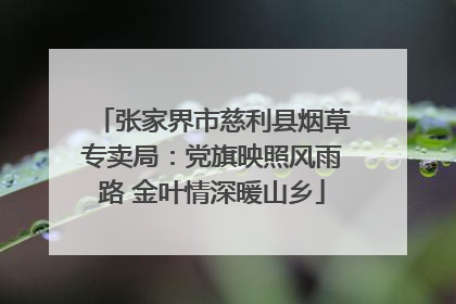 张家界市慈利县烟草专卖局：党旗映照风雨路 金叶情深暖山乡