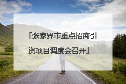 张家界市重点招商引资项目调度会召开