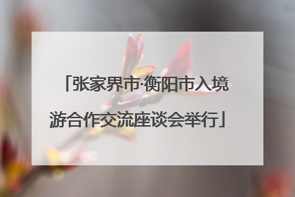 张家界市·衡阳市入境游合作交流座谈会举行