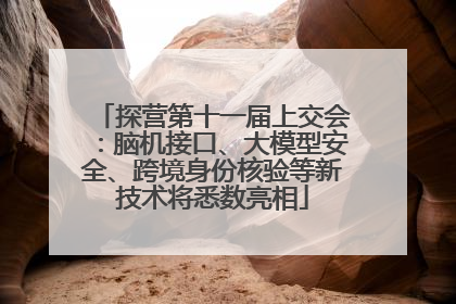 探营第十一届上交会：脑机接口、大模型安全、跨境身份核验等新技术将悉数亮相