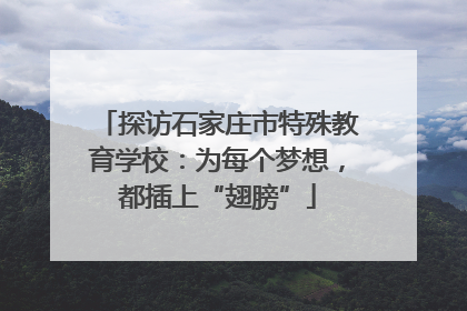 探访石家庄市特殊教育学校：为每个梦想，都插上“翅膀”