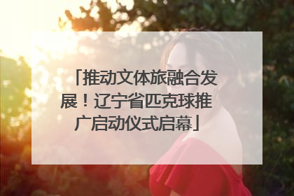 推动文体旅融合发展！辽宁省匹克球推广启动仪式启幕