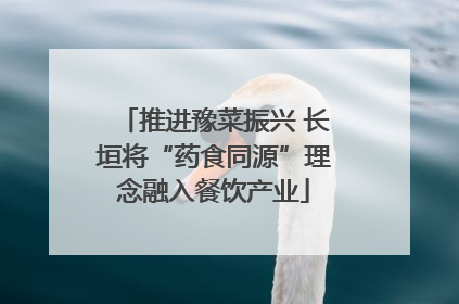 推进豫菜振兴 长垣将“药食同源”理念融入餐饮产业