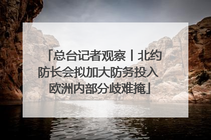 总台记者观察丨北约防长会拟加大防务投入 欧洲内部分歧难掩