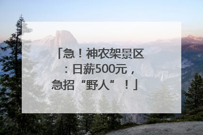 急！神农架景区：日薪500元，急招“野人”！