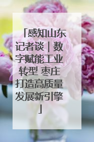 感知山东记者谈｜数字赋能工业转型 枣庄打造高质量发展新引擎