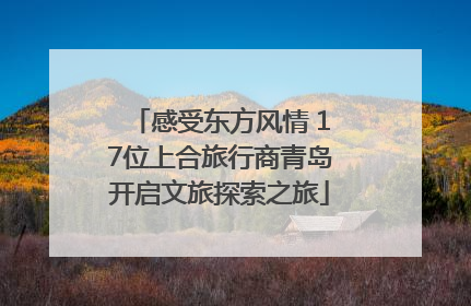 感受东方风情 17位上合旅行商青岛开启文旅探索之旅