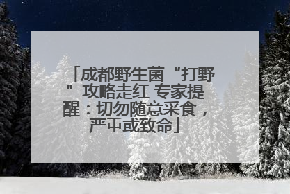 成都野生菌“打野”攻略走红 专家提醒：切勿随意采食，严重或致命