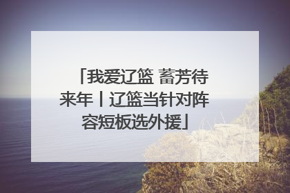 我爱辽篮 蓄芳待来年丨辽篮当针对阵容短板选外援