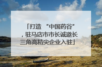 打造 “中国药谷”，驻马店市市长诚邀长三角高精尖企业入驻