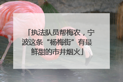 执法队员帮梅农，宁波这条“杨梅街”有最鲜甜的市井烟火