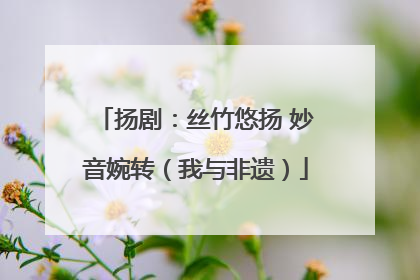 扬剧：丝竹悠扬 妙音婉转（我与非遗）
