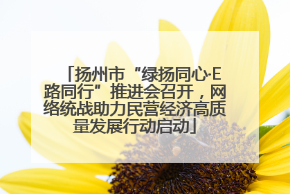 扬州市“绿扬同心·E路同行”推进会召开，网络统战助力民营经济高质量发展行动启动