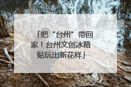 把“台州”带回家！台州文创冰箱贴玩出新花样
