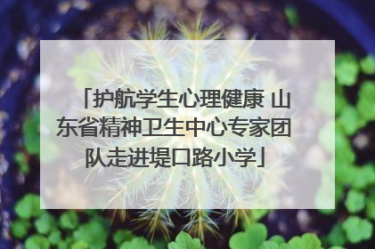 护航学生心理健康 山东省精神卫生中心专家团队走进堤口路小学