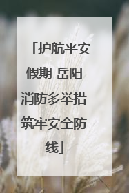 护航平安假期 岳阳消防多举措筑牢安全防线