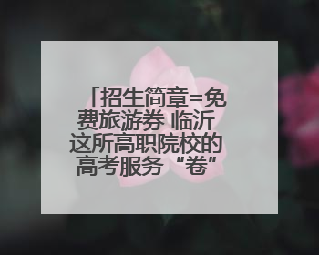 招生简章=免费旅游券 临沂这所高职院校的高考服务“卷”出新高度