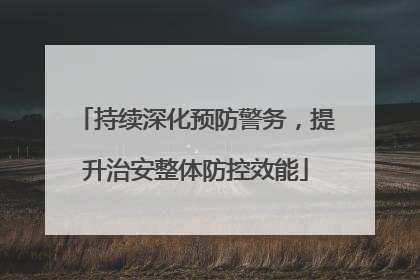 持续深化预防警务，提升治安整体防控效能