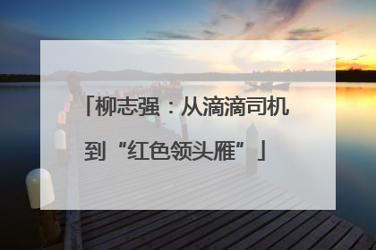 柳志强：从滴滴司机到“红色领头雁”