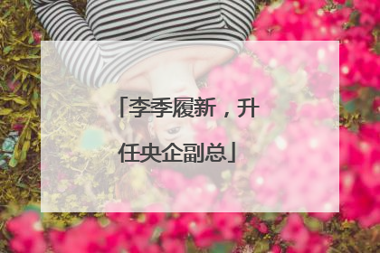 李季履新，升任央企副总