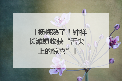 杨梅熟了！钟祥长滩镇收获“舌尖上的惊喜”