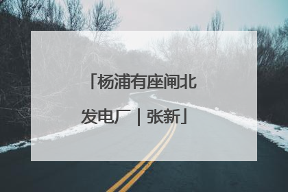 杨浦有座闸北发电厂｜张新