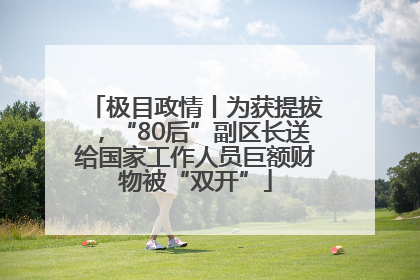 极目政情丨为获提拔，“80后”副区长送给国家工作人员巨额财物被“双开”