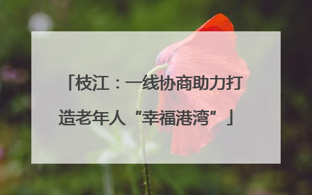 枝江：一线协商助力打造老年人“幸福港湾”