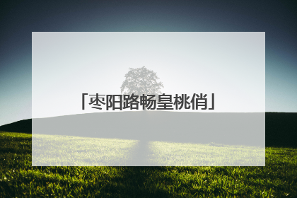 枣阳路畅皇桃俏