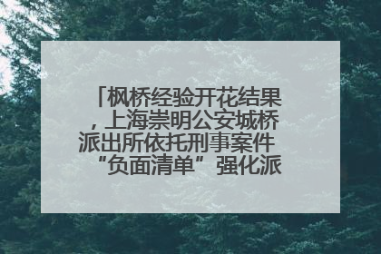 枫桥经验开花结果，上海崇明公安城桥派出所依托刑事案件“负面清单”强化派出所“主防”