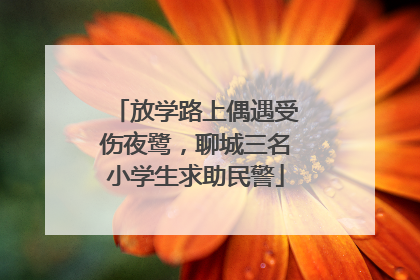 放学路上偶遇受伤夜鹭，聊城三名小学生求助民警