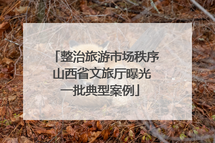 整治旅游市场秩序 山西省文旅厅曝光一批典型案例
