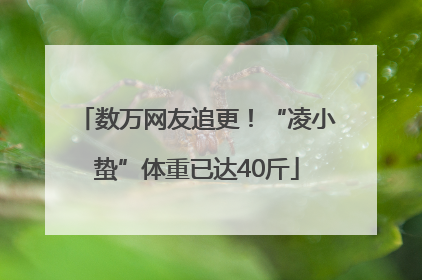 数万网友追更！“凌小蛰”体重已达40斤