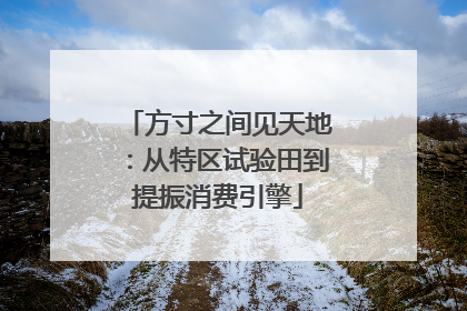 方寸之间见天地：从特区试验田到提振消费引擎