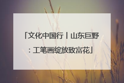 文化中国行丨山东巨野：工笔画绽放致富花