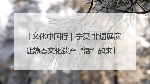 文化中国行｜宁夏 非遗展演让静态文化遗产“活”起来