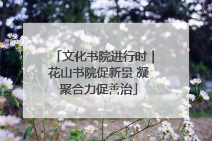 文化书院进行时｜花山书院促新景 凝聚合力促善治