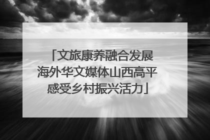文旅康养融合发展 海外华文媒体山西高平感受乡村振兴活力