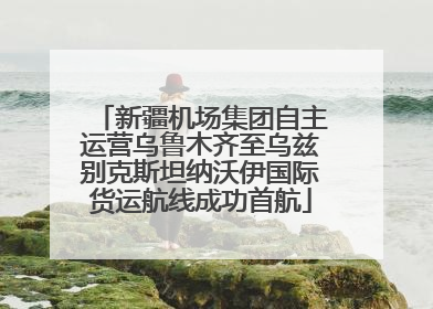 新疆机场集团自主运营乌鲁木齐至乌兹别克斯坦纳沃伊国际货运航线成功首航