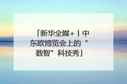 新华全媒+丨中东欧博览会上的“数智”科技秀
