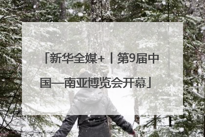 新华全媒+丨第9届中国—南亚博览会开幕
