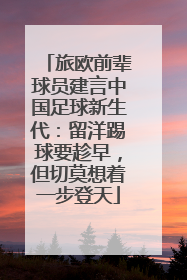 旅欧前辈球员建言中国足球新生代：留洋踢球要趁早，但切莫想着一步登天
